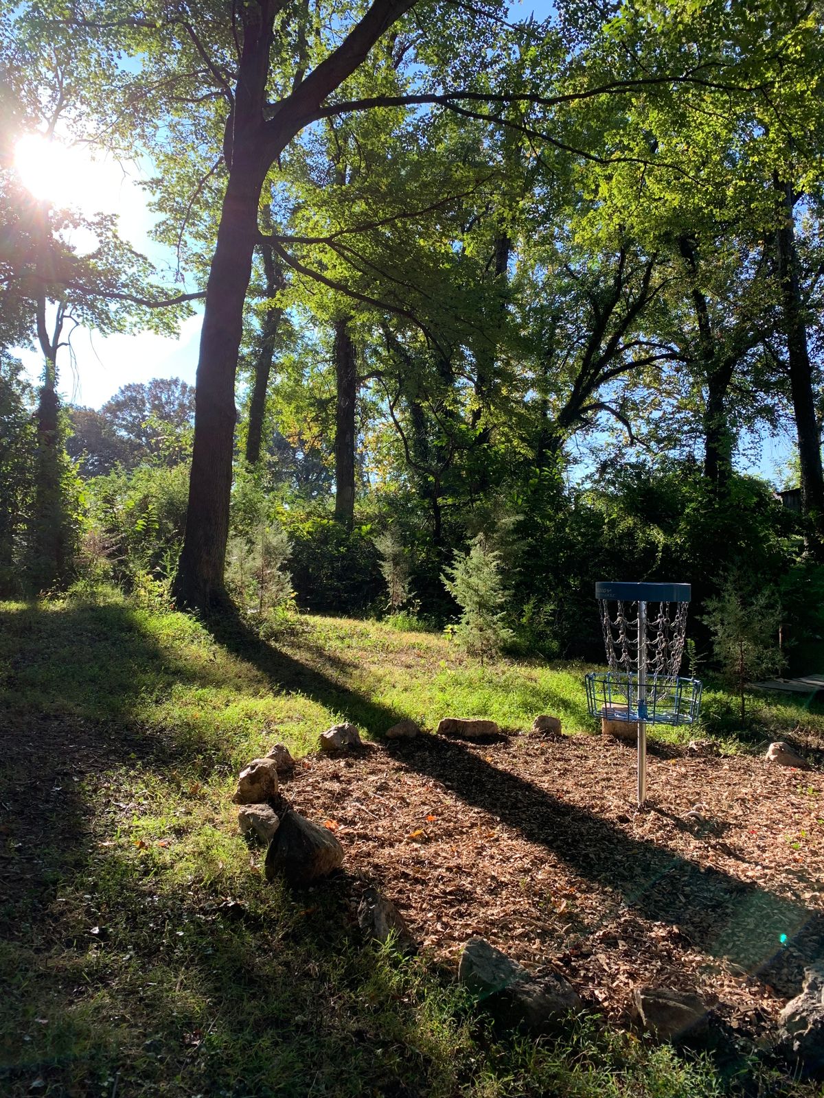Green of 7