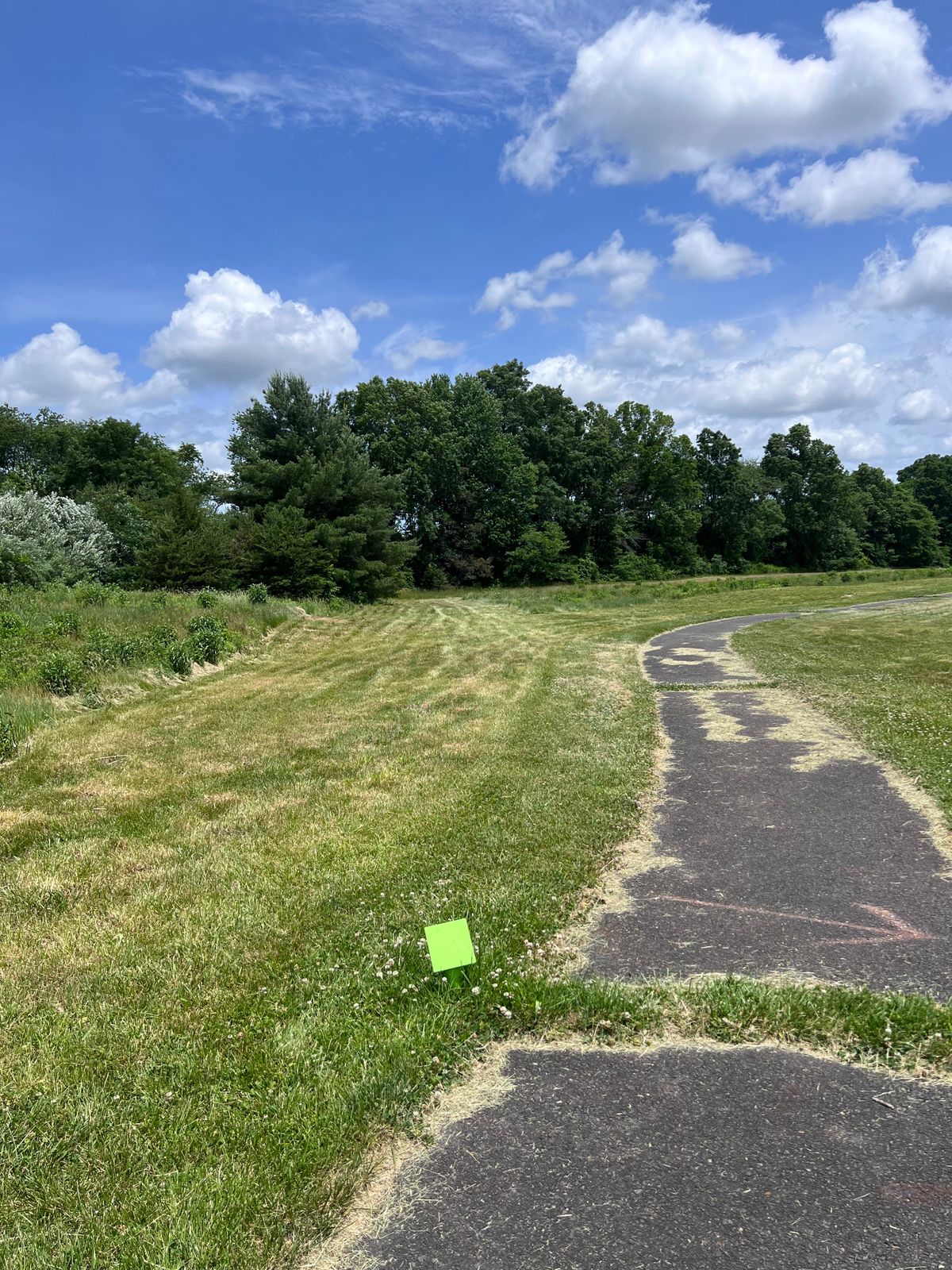 Hole 6 tee