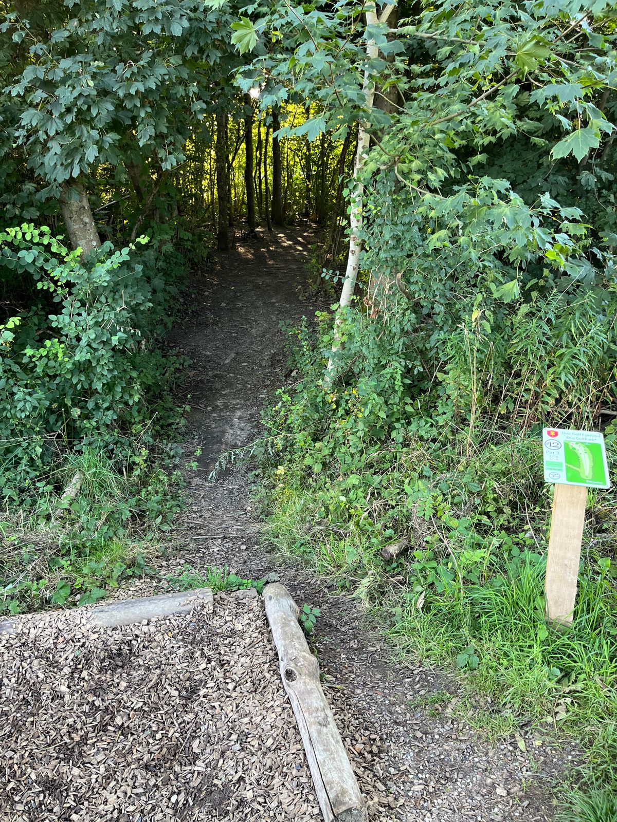 Hole 12