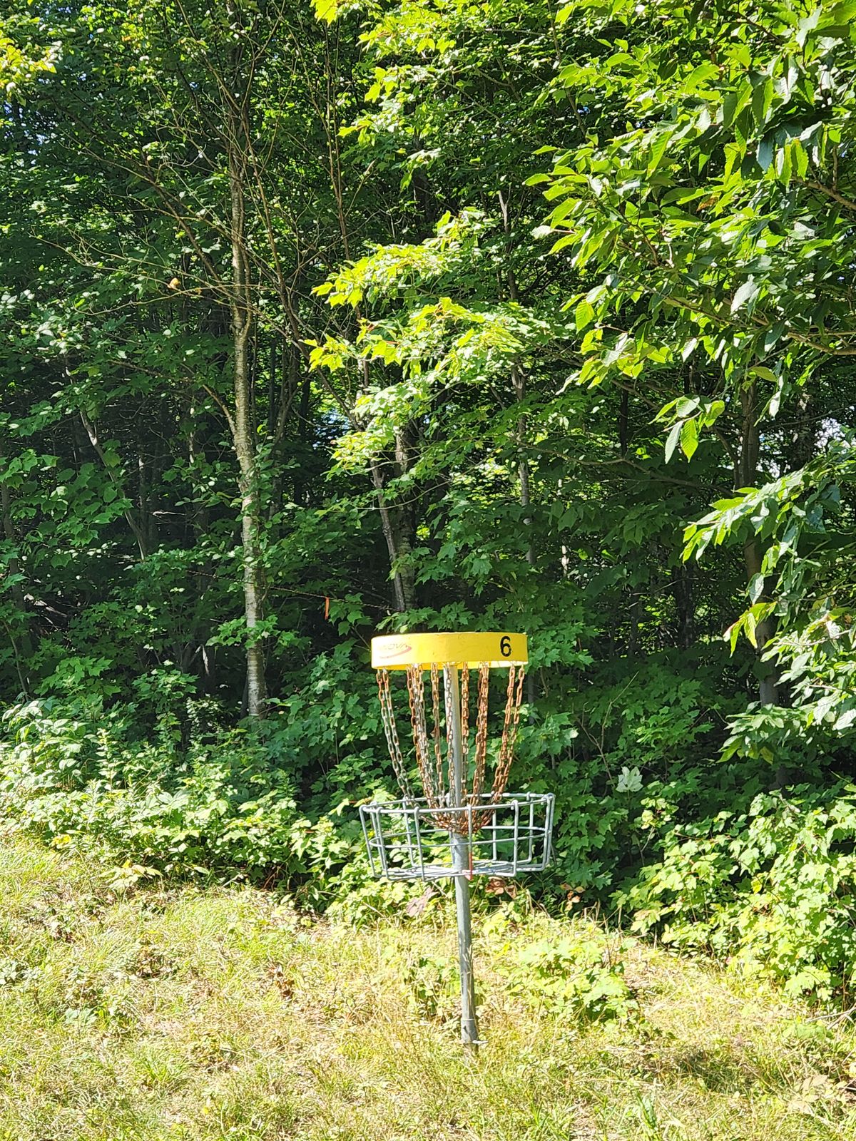 Hole 6