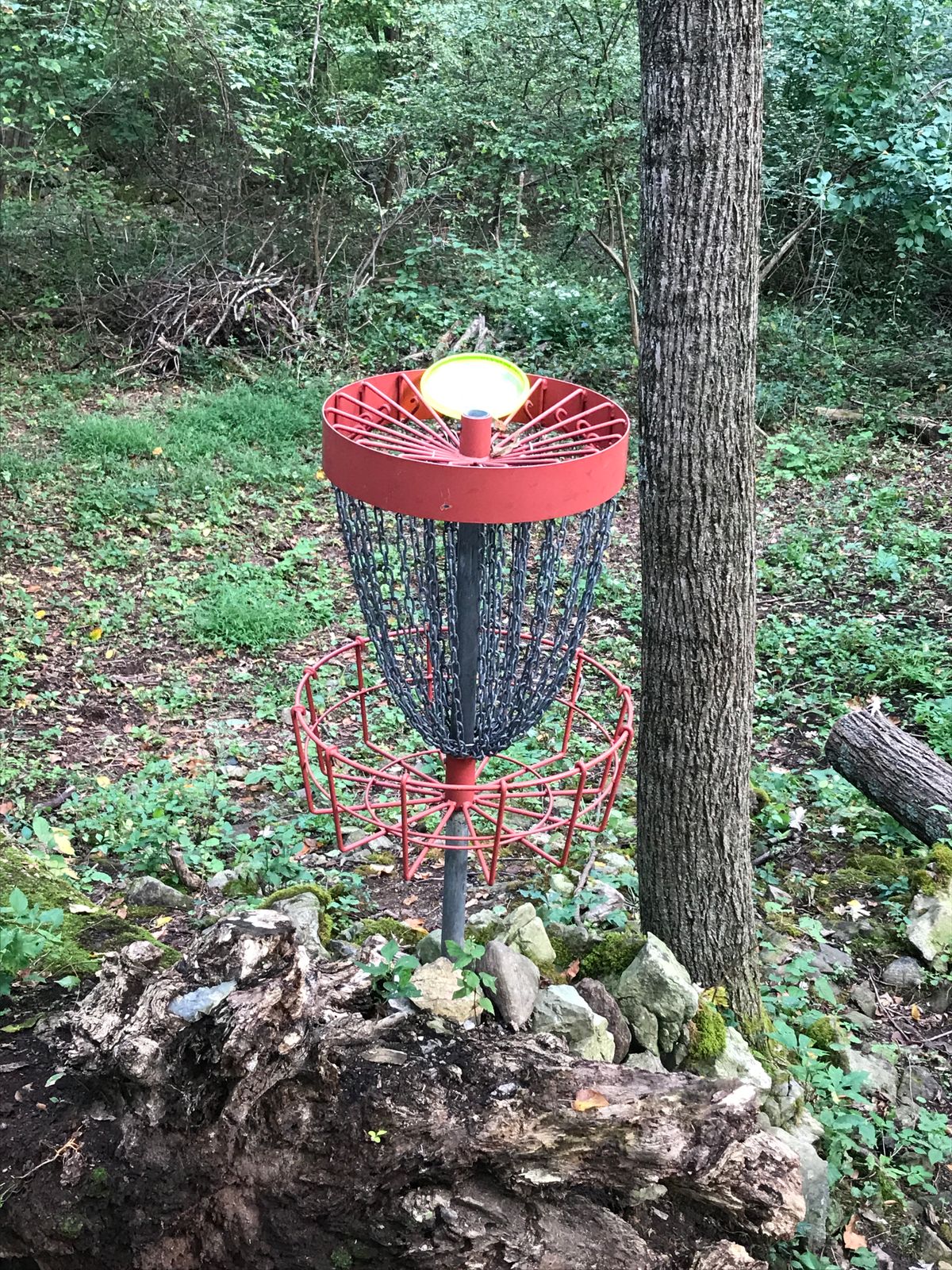 Hole 11
