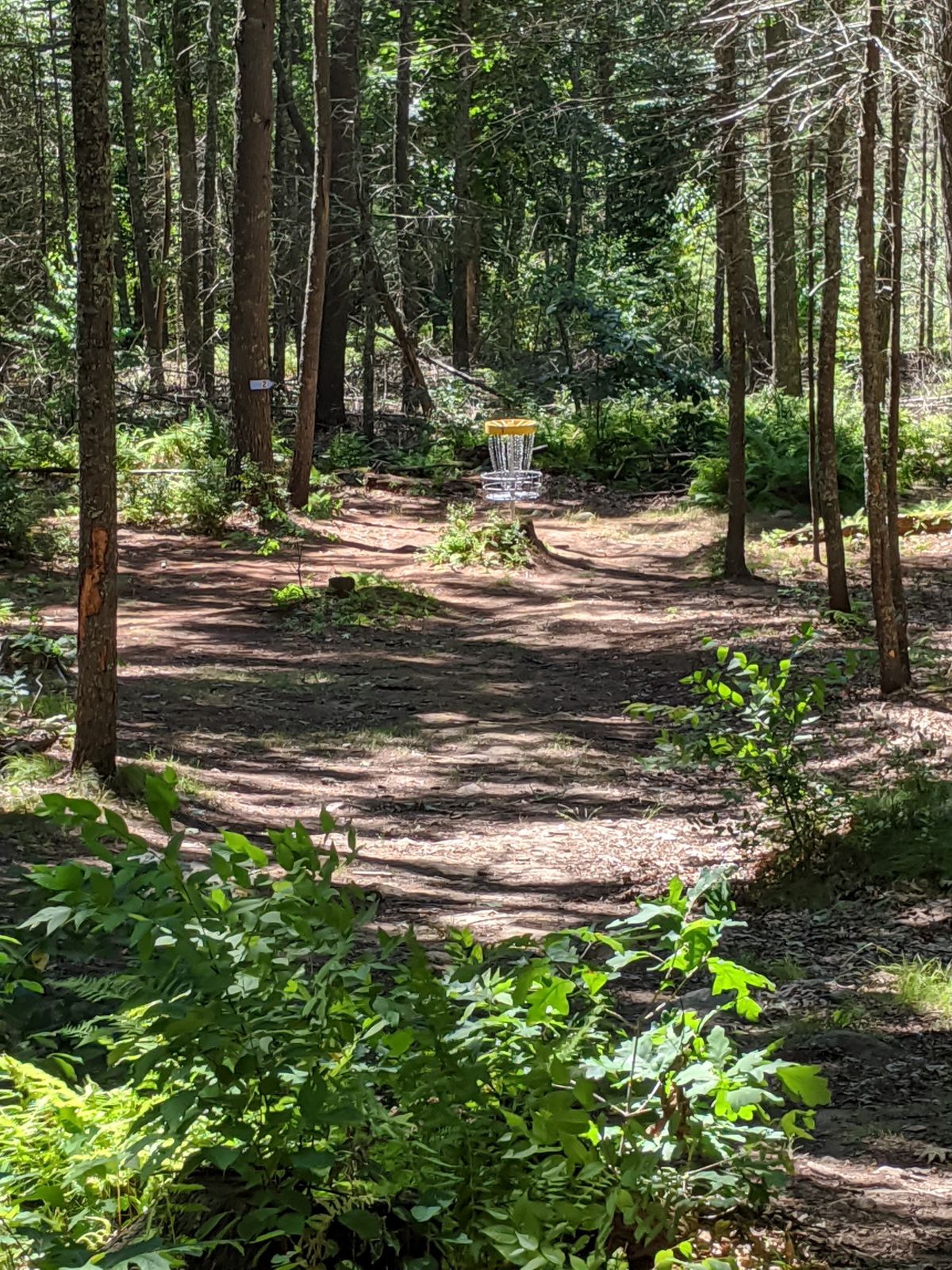 Hole 1