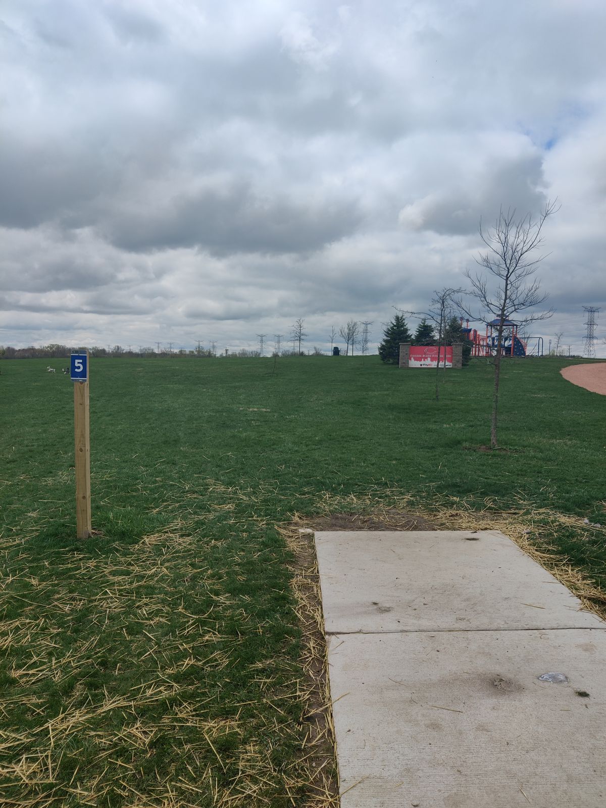Hole 5 tee