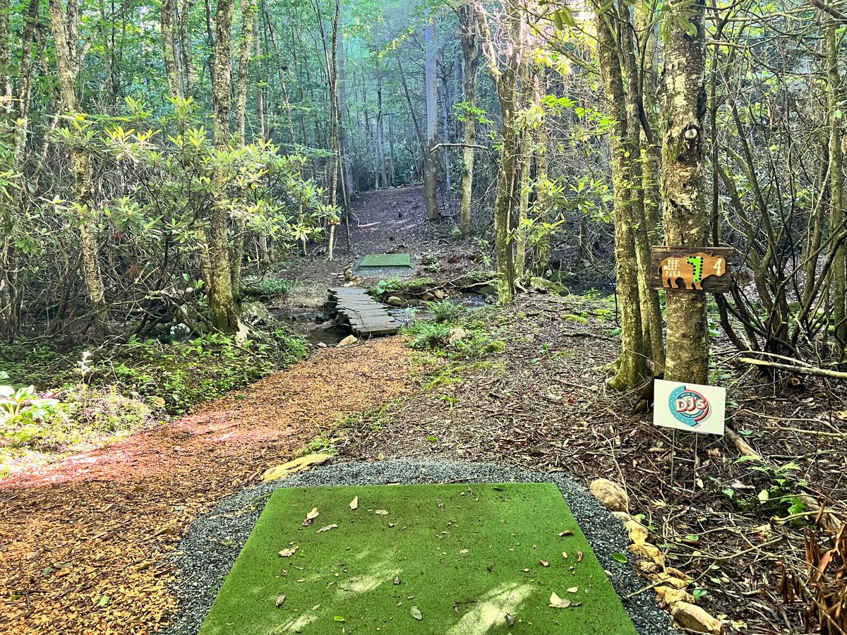 hole 4, short tee