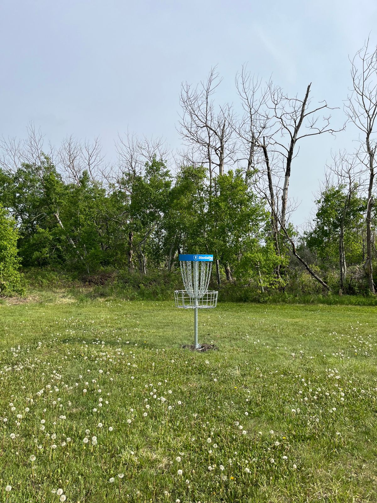 Basket Location