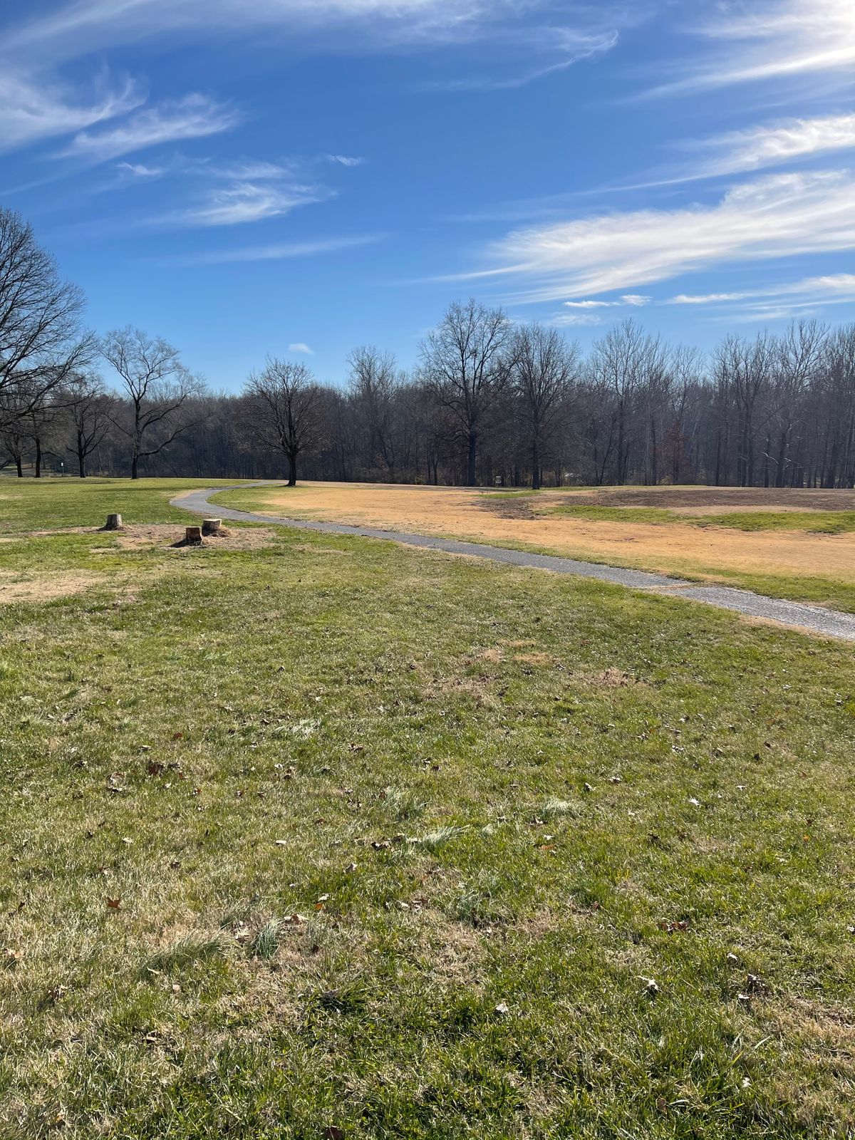 Hole 4s tee view. Baskets in short