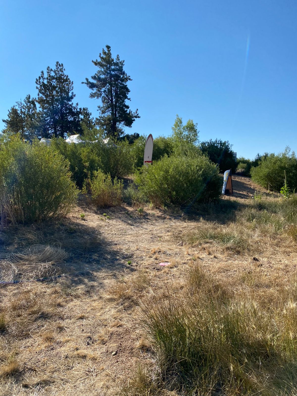 Hole 8 forgot to take initial pic