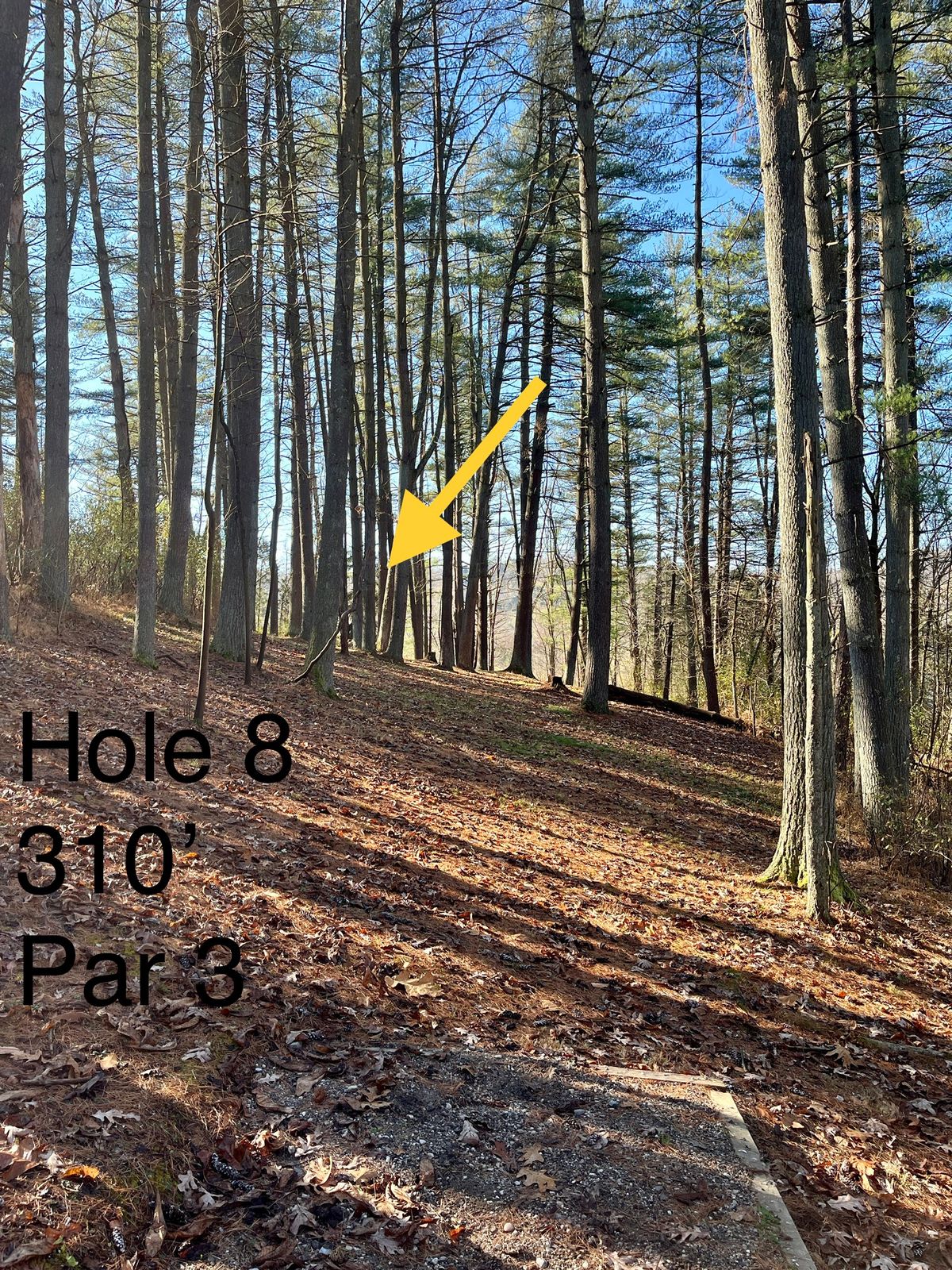 Hole 8, 310’ par 3