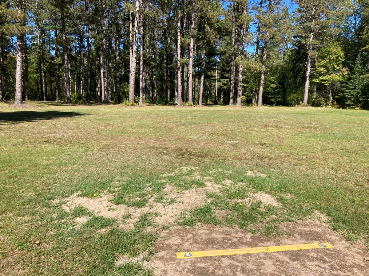 Hole 6 starts in a field. If you’re a good shot you can try to find an opening in the far trees.