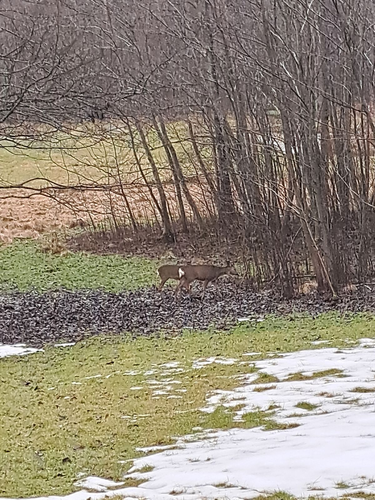 Hål 8 röd