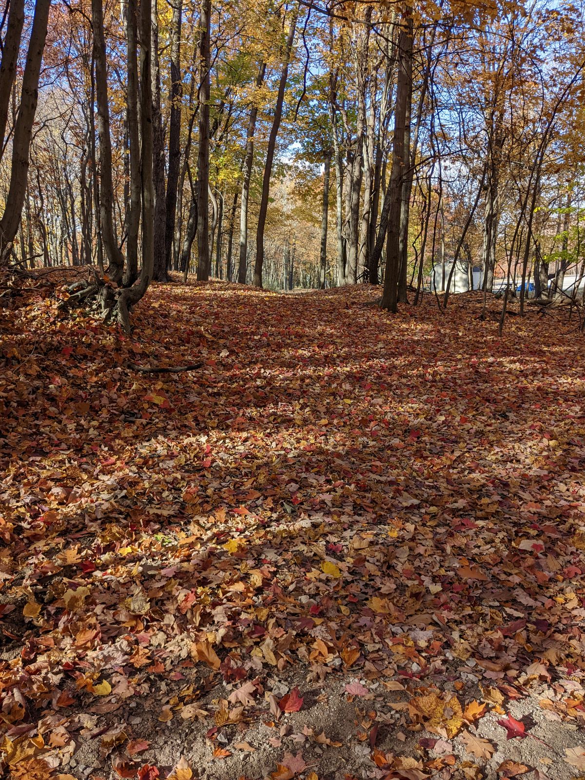 Hole 18 tee