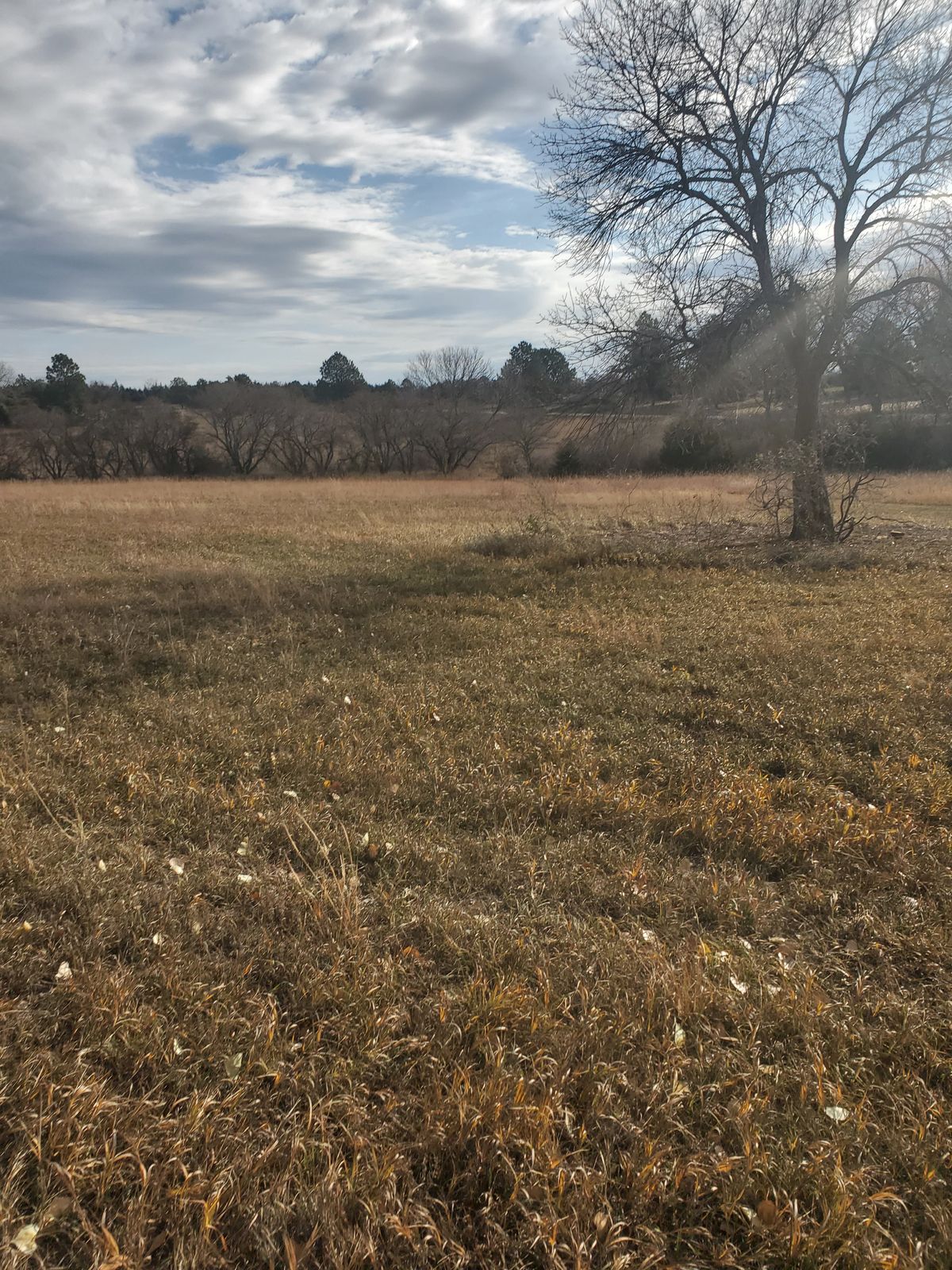 Hole 9