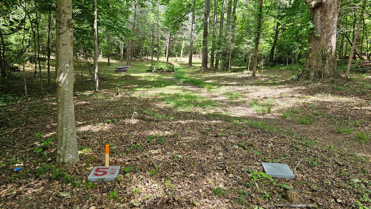 Hole 5 Alt - 212 ft