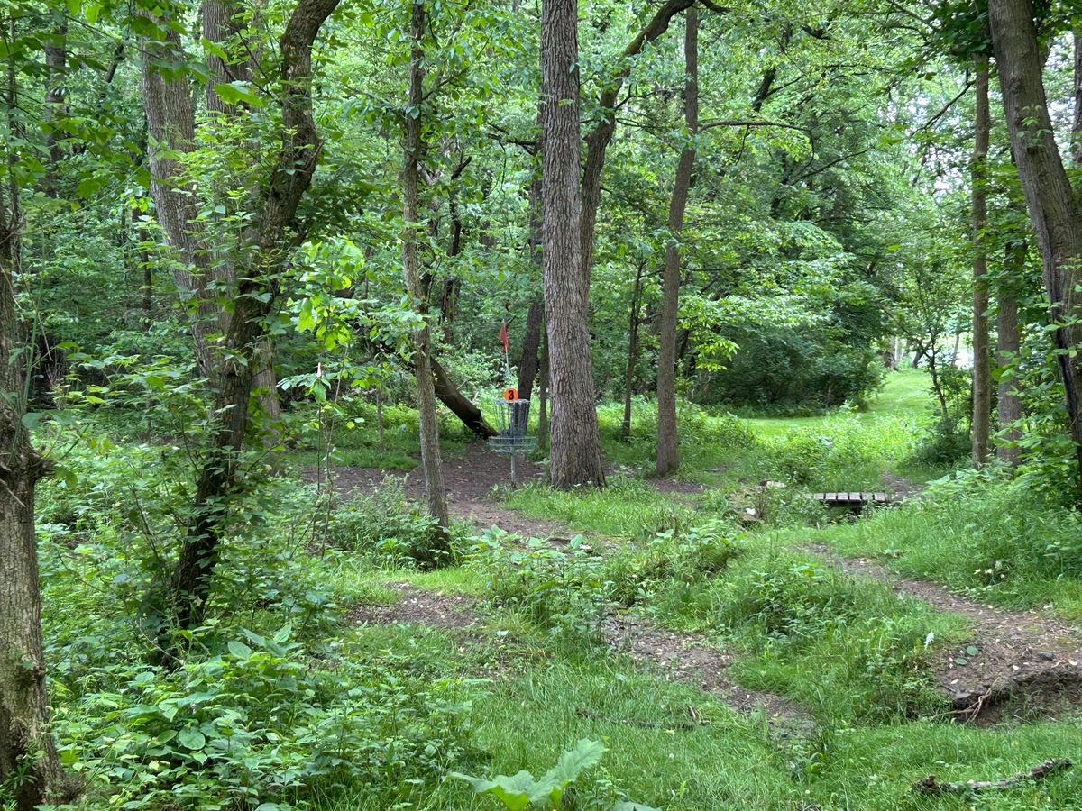 Hole 3 basket