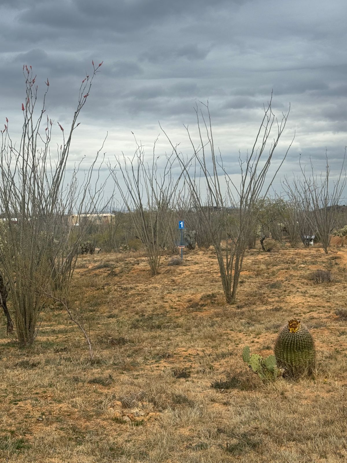 Hole 10 about 1/2 way down fairway (hole 1 on blue nine)