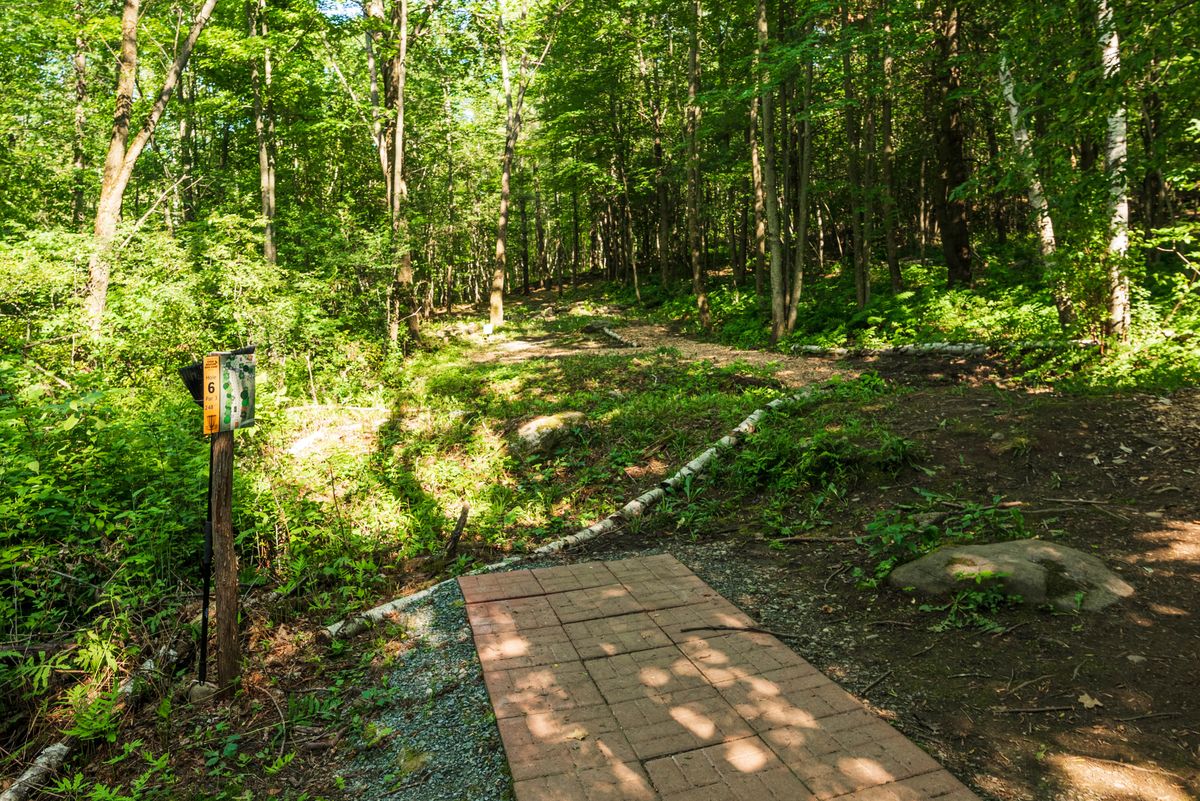Hole 6 gold tee