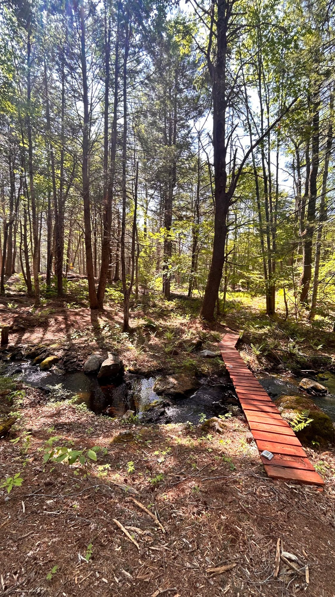 Hole 6 walk up.