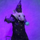 thewizardquinn