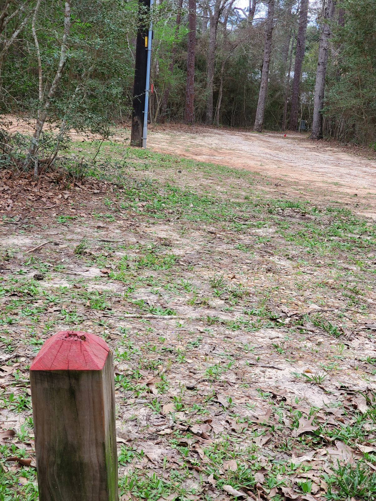 Hole 4 red tee