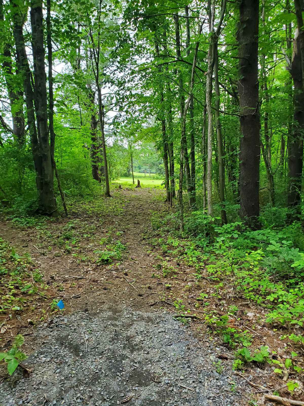 Hole 6 Blue