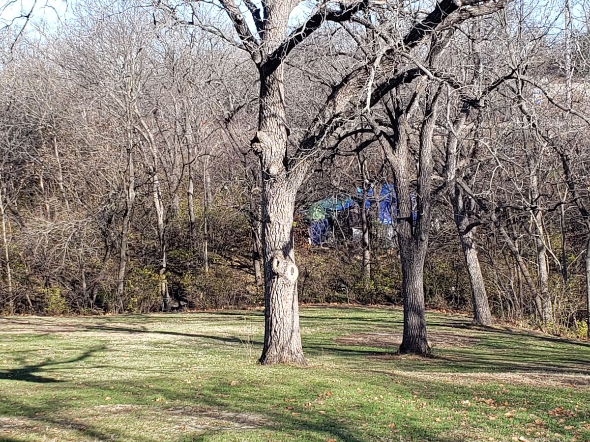 Hole 6 camp
