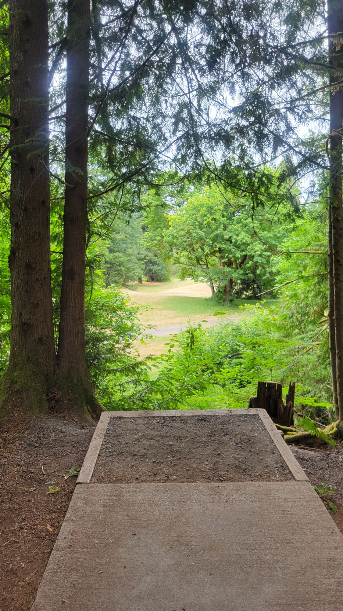 Hole 6 East