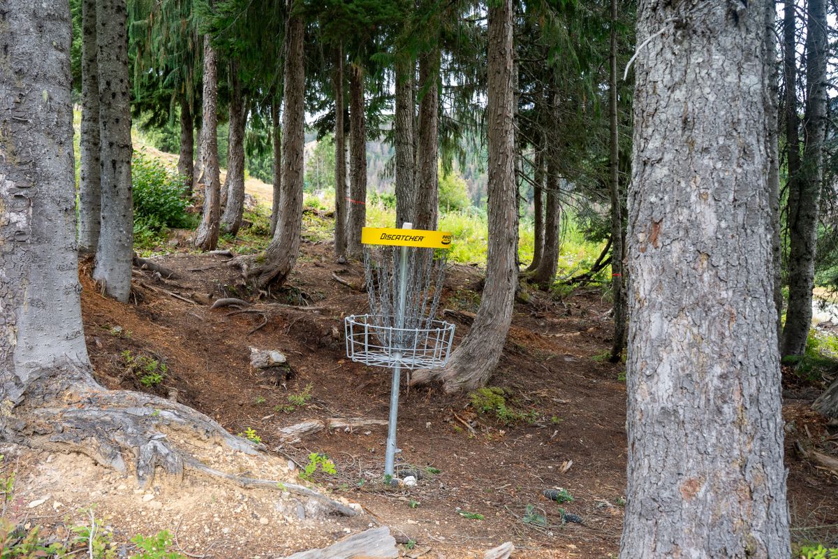 Hole 8 green