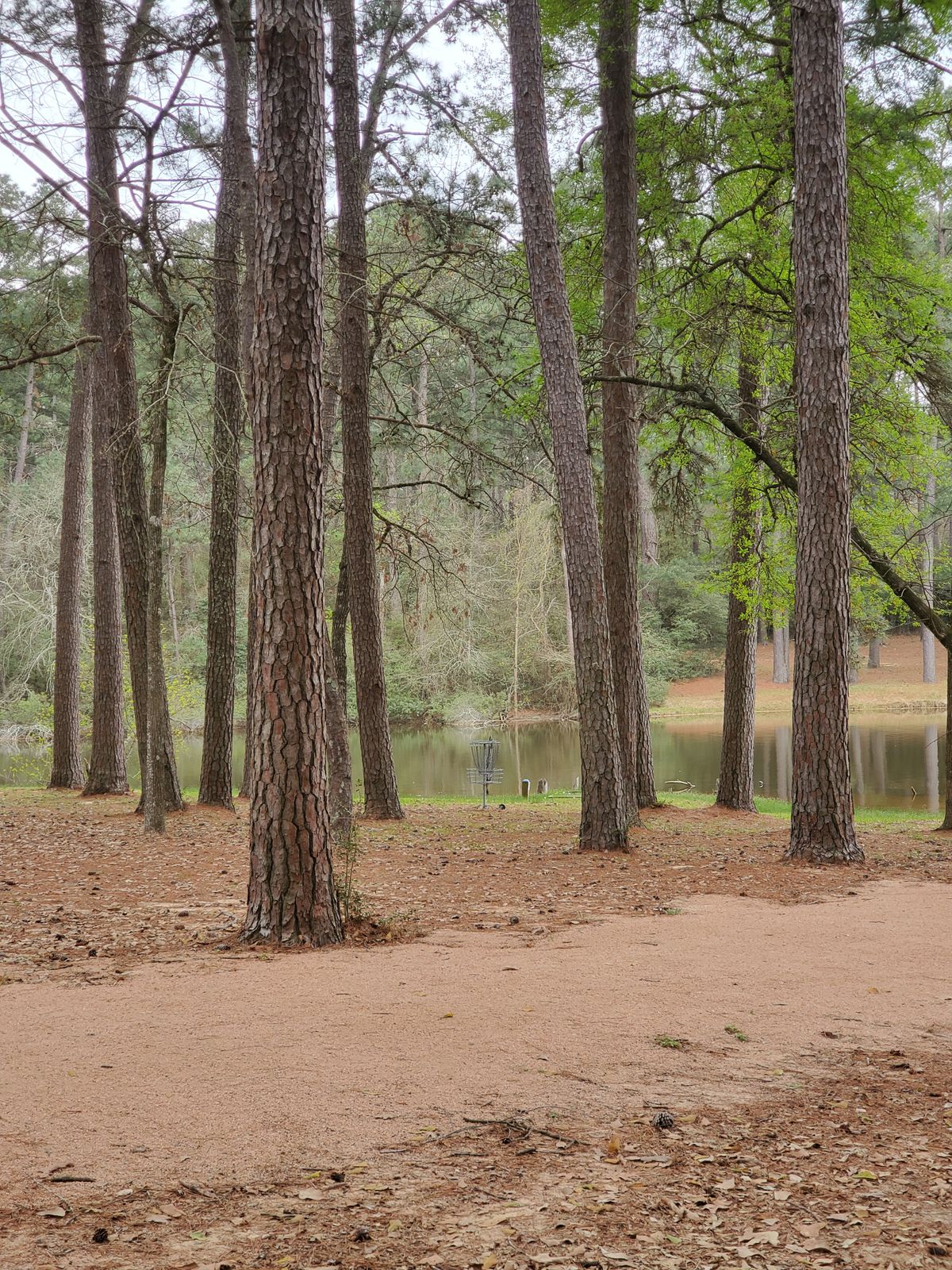 Hole 6 approach
