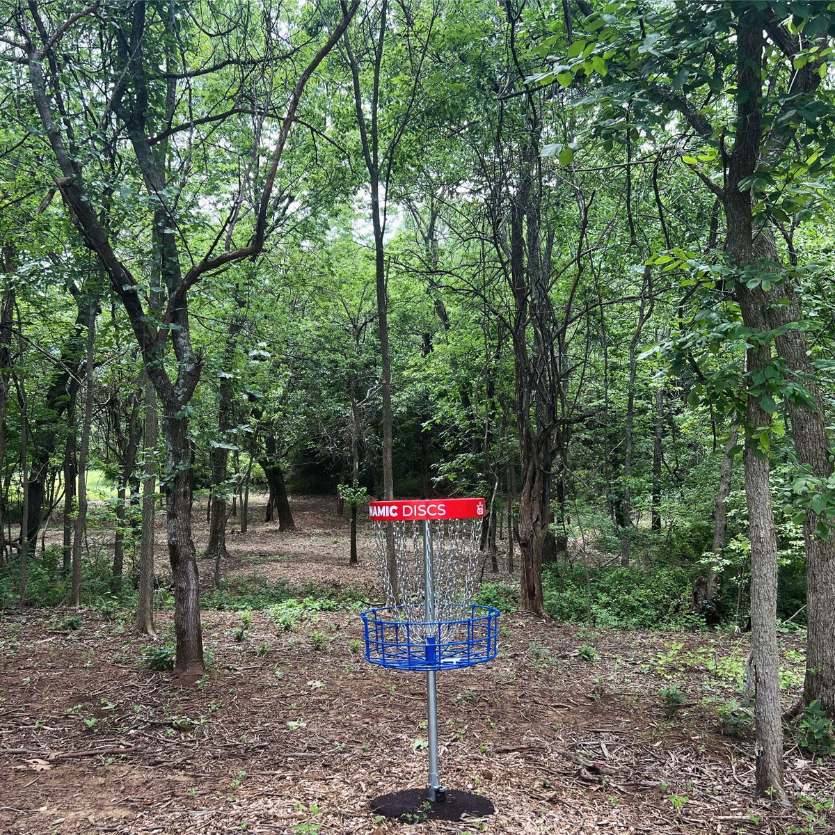 Basket hole 10