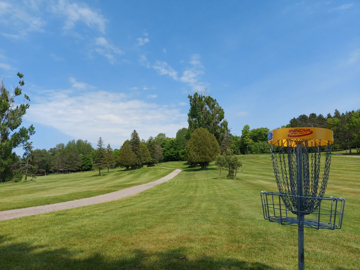 Reverse back up the fairway on hole 5 🌲🌳🌲🌳🌲