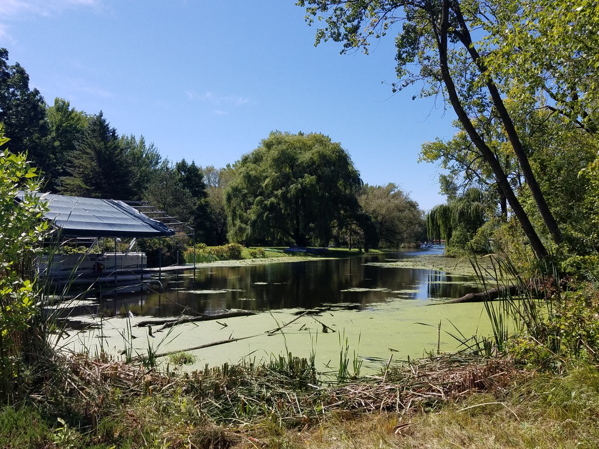Green Bay Area disc golf BOGI 2024 Markesan, Wisconsin UDisc Events