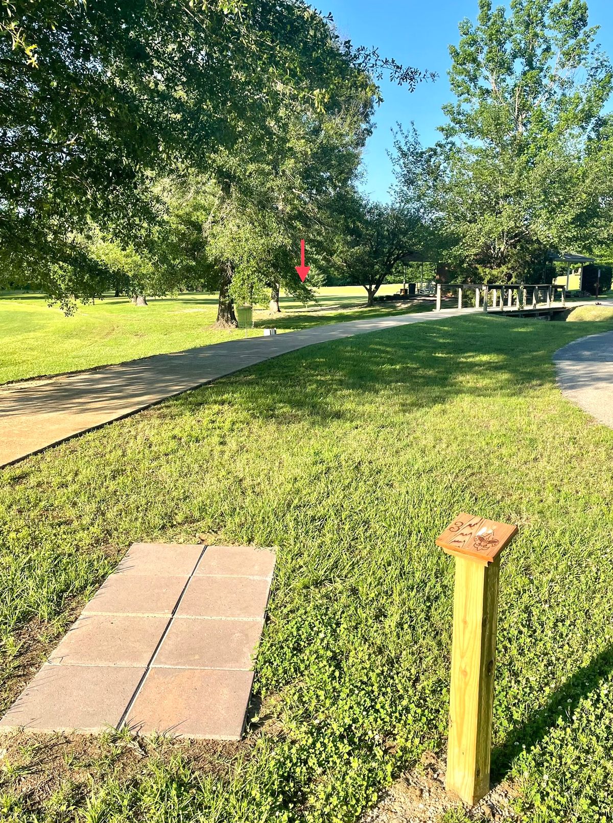 Hole 3. Pavement and right is OB.