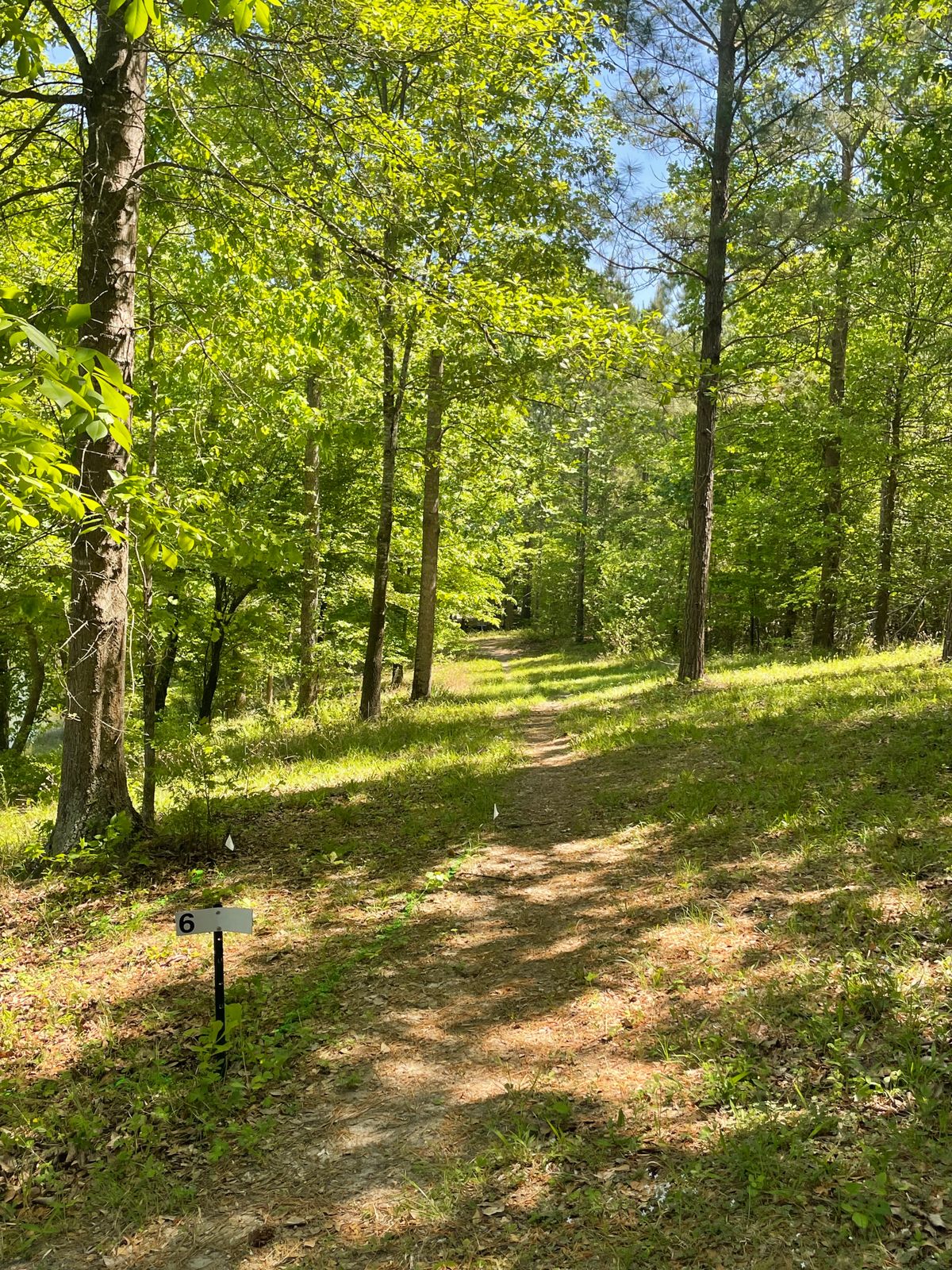 Hole 6 teebox and fairway