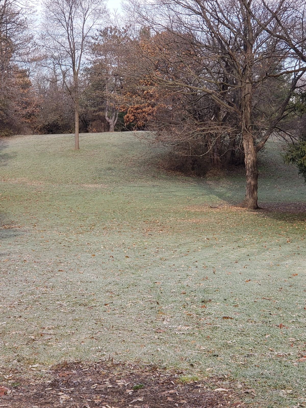 Hole 3 long over hill than down straight, short to the right past shrubs.