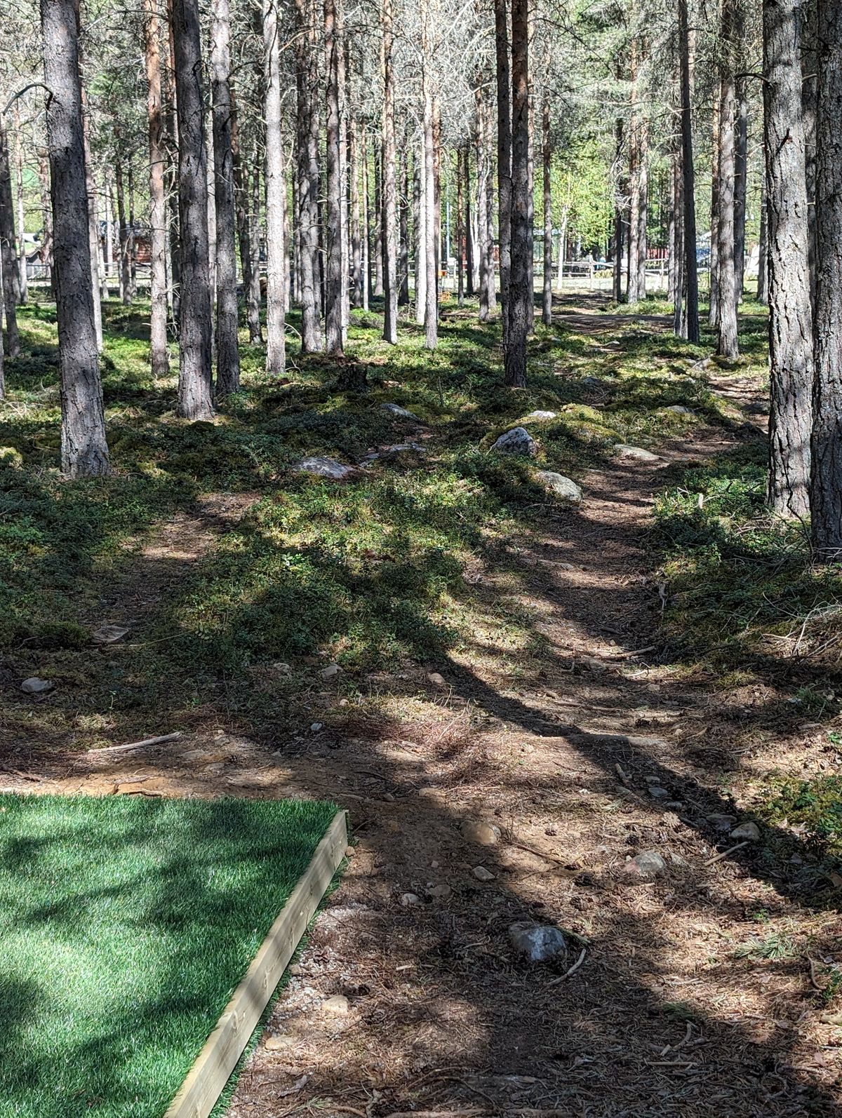 Hole 9