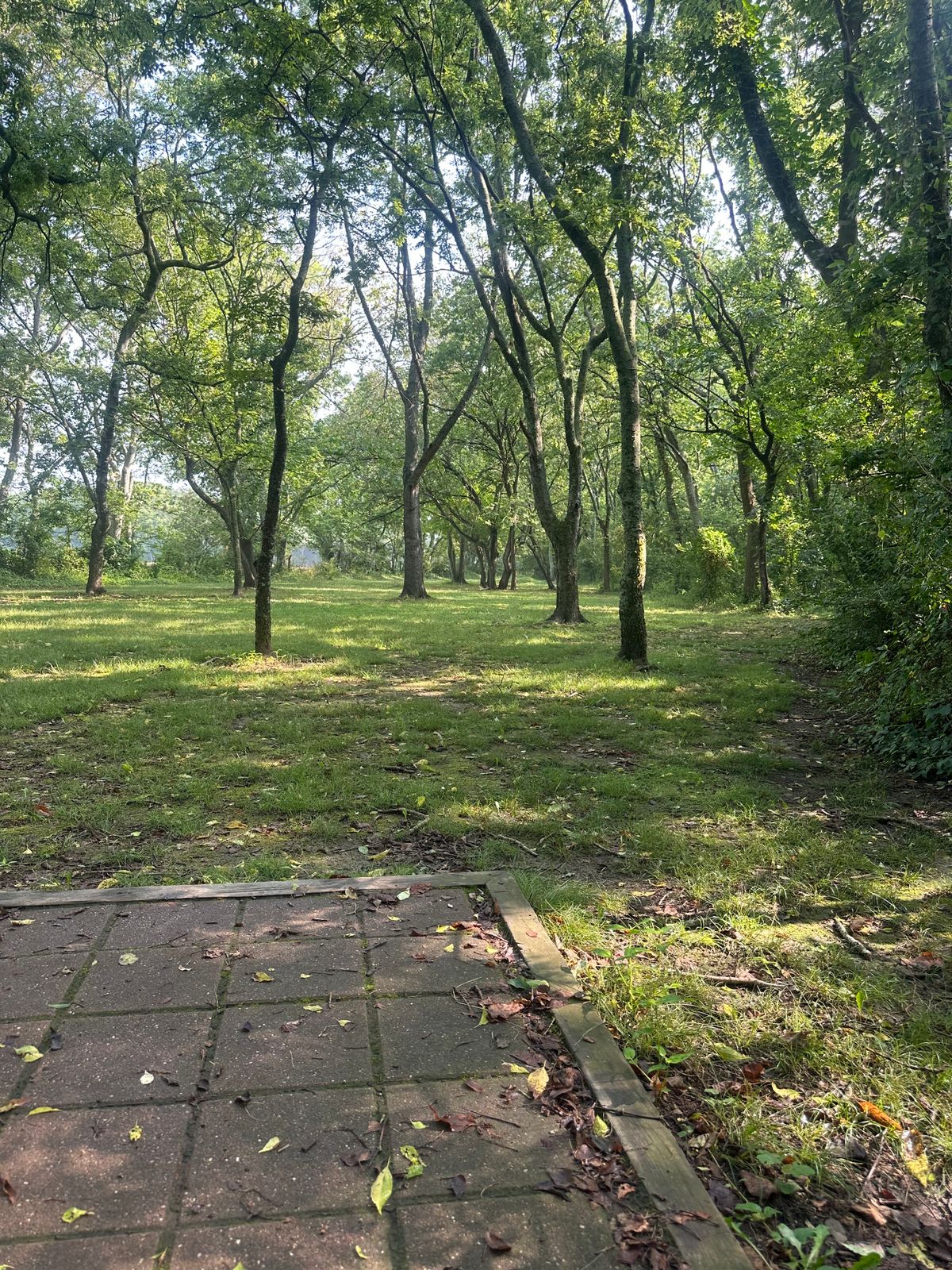 Hole 6