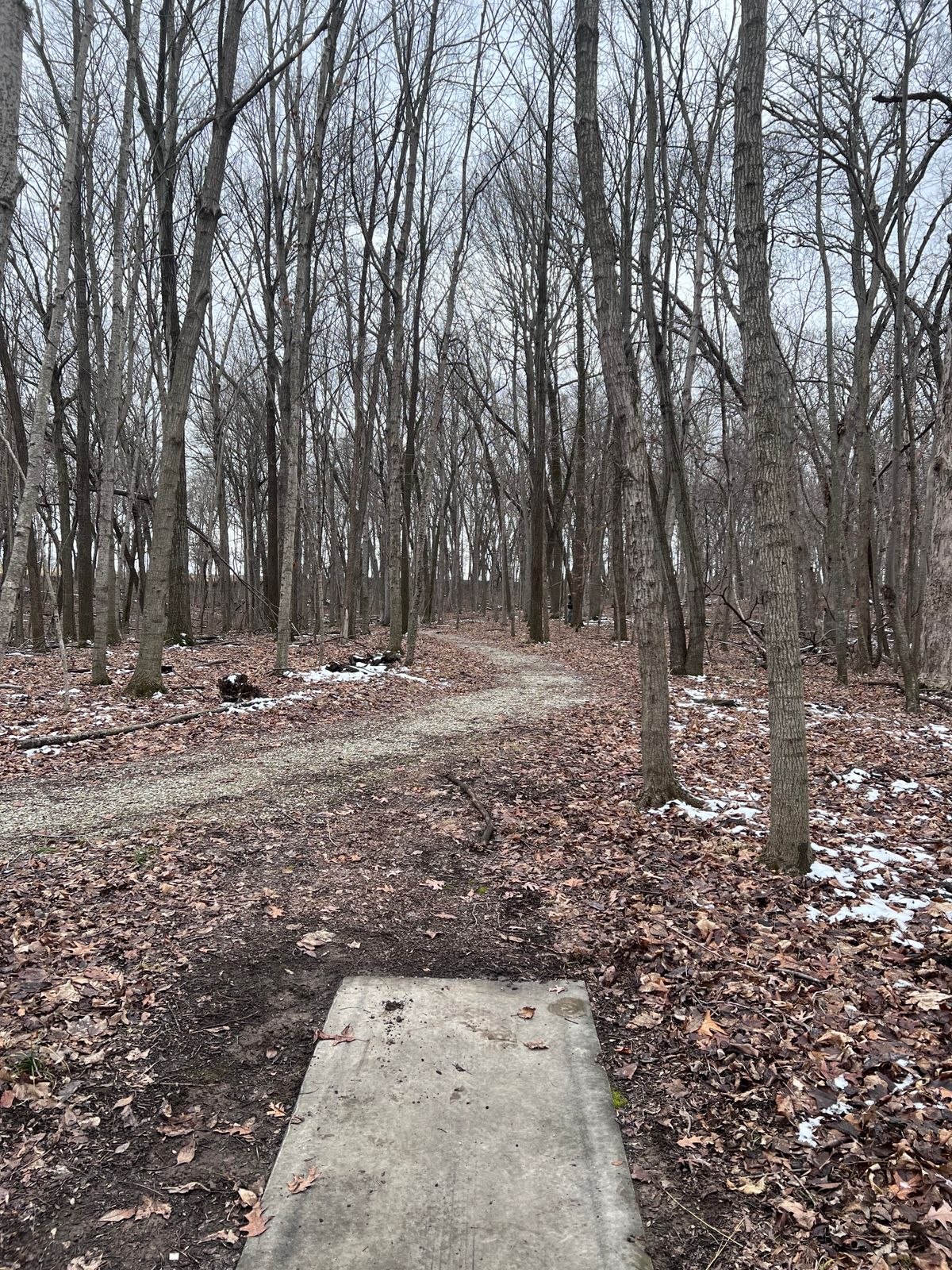Hole 15