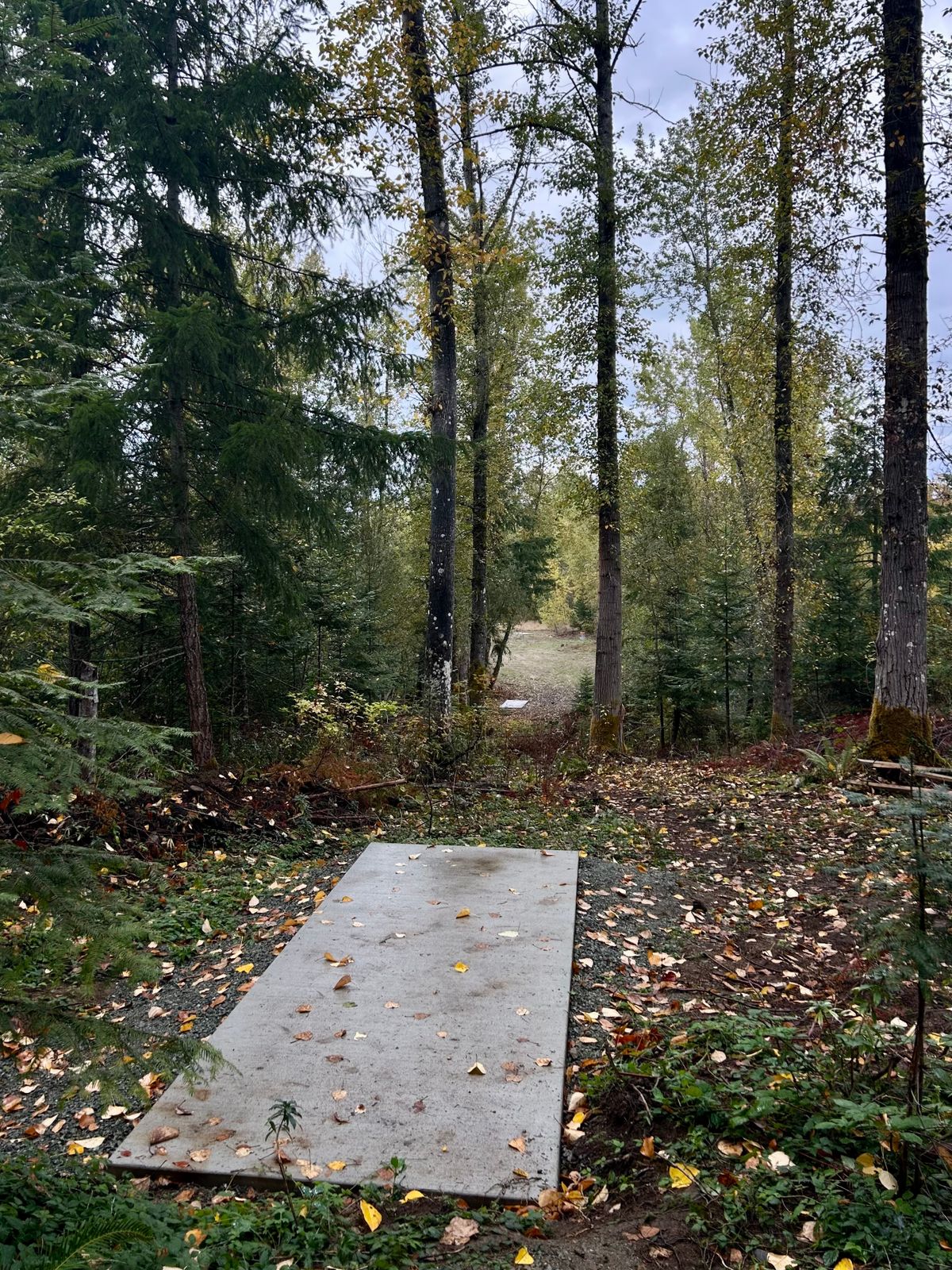 Hole 16 Gold