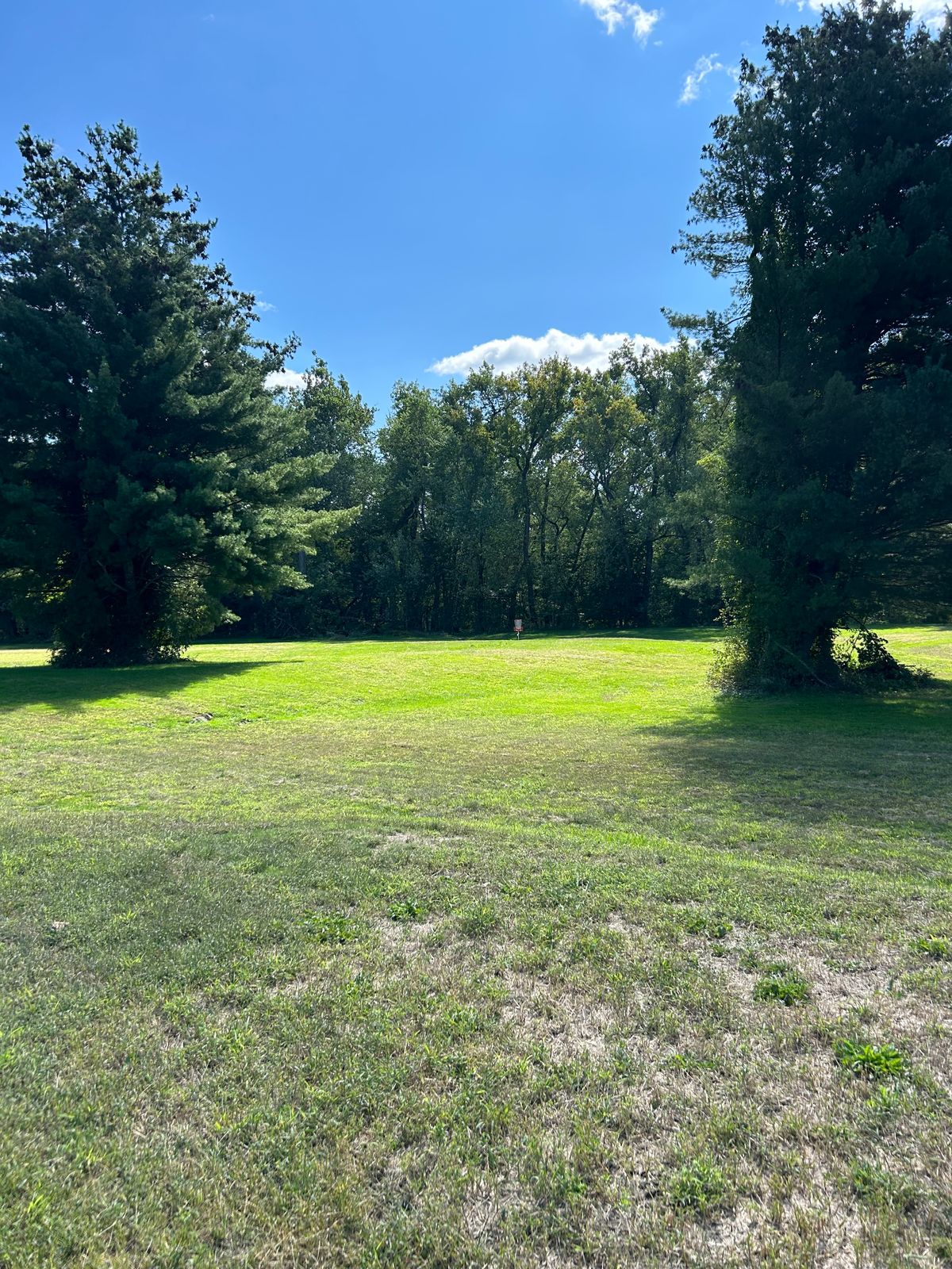 Hole 11