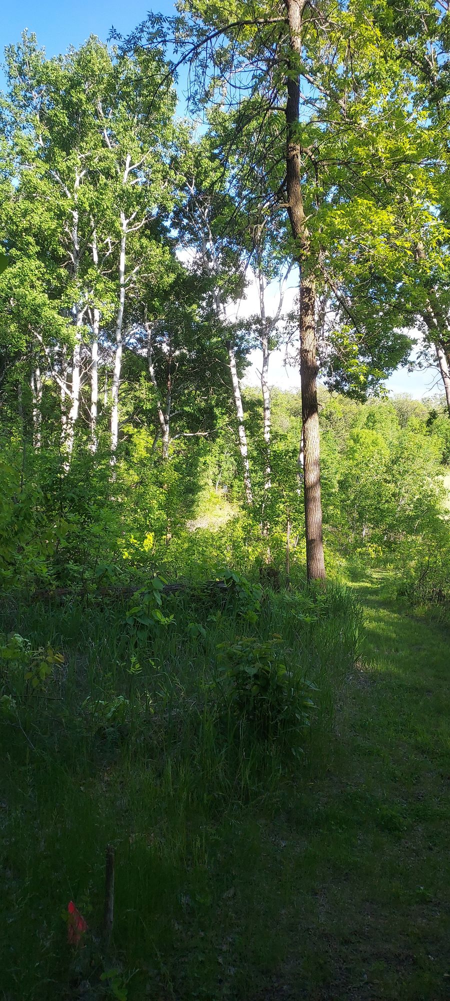 Hole 6