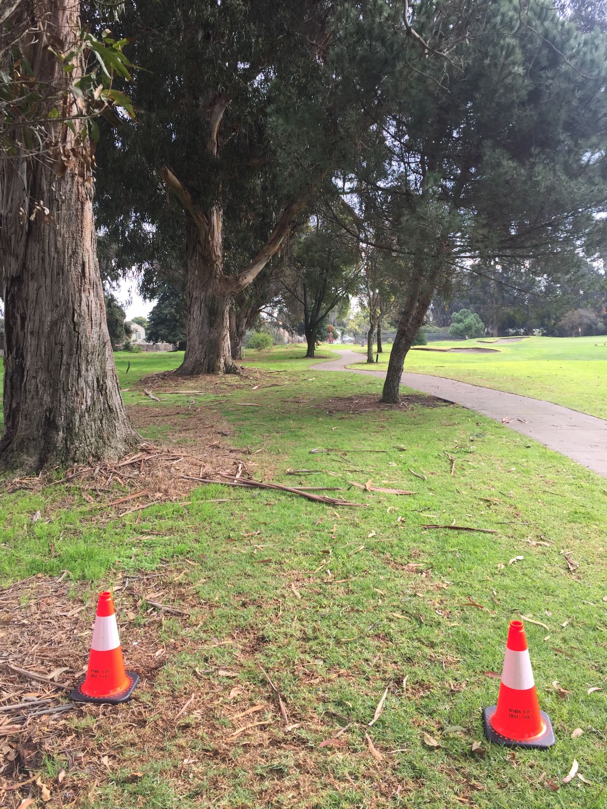 Hole 6