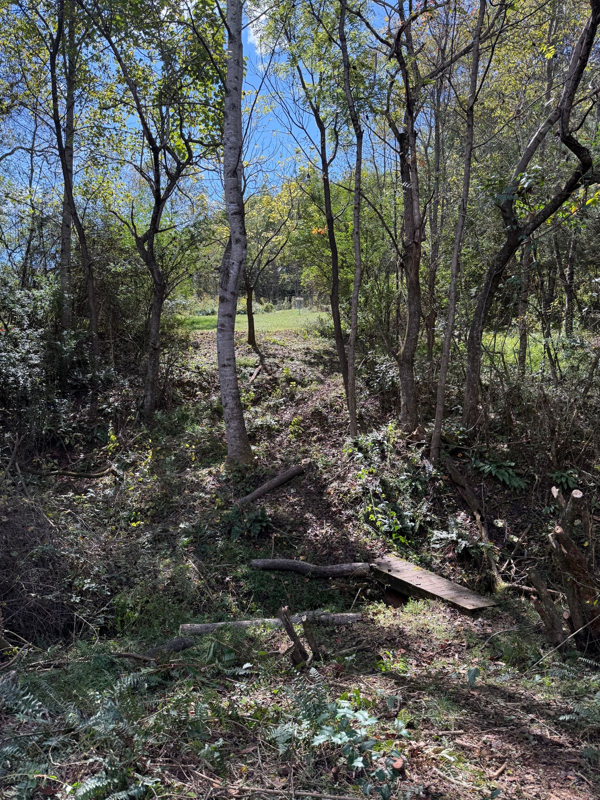 Hole number 7 is now cleared.