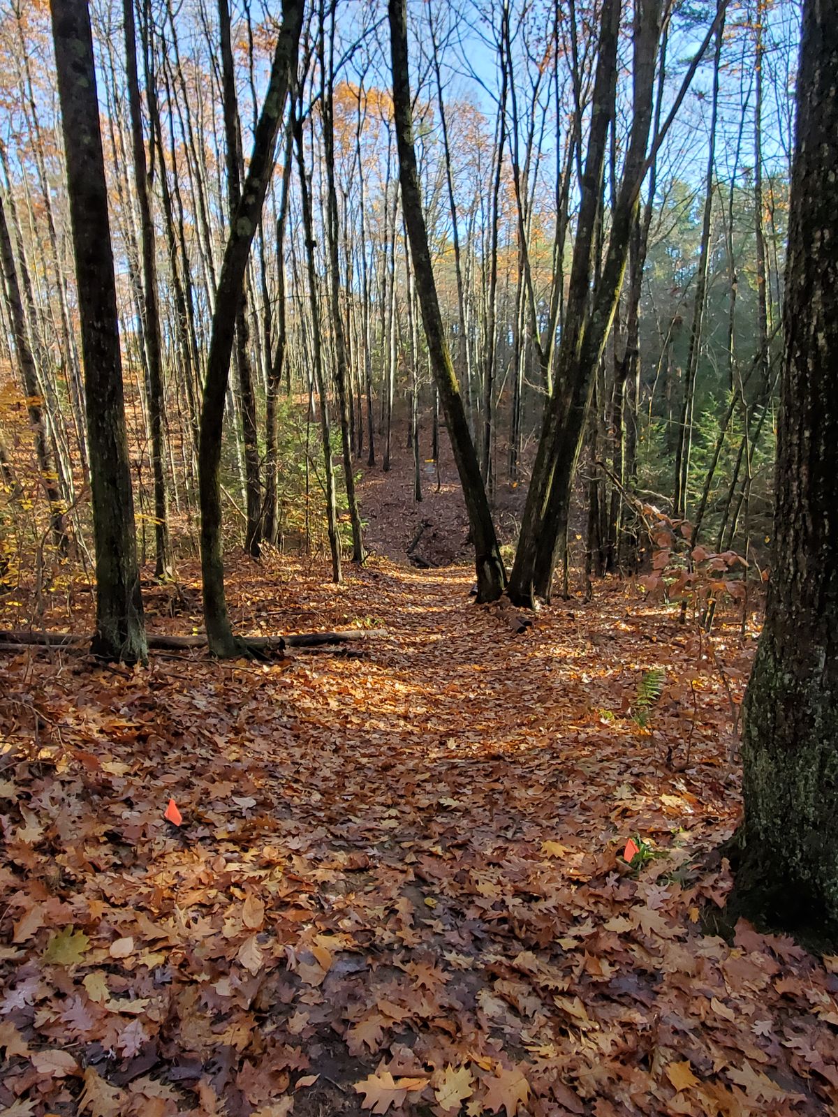 Hole 7