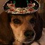 User avatar image