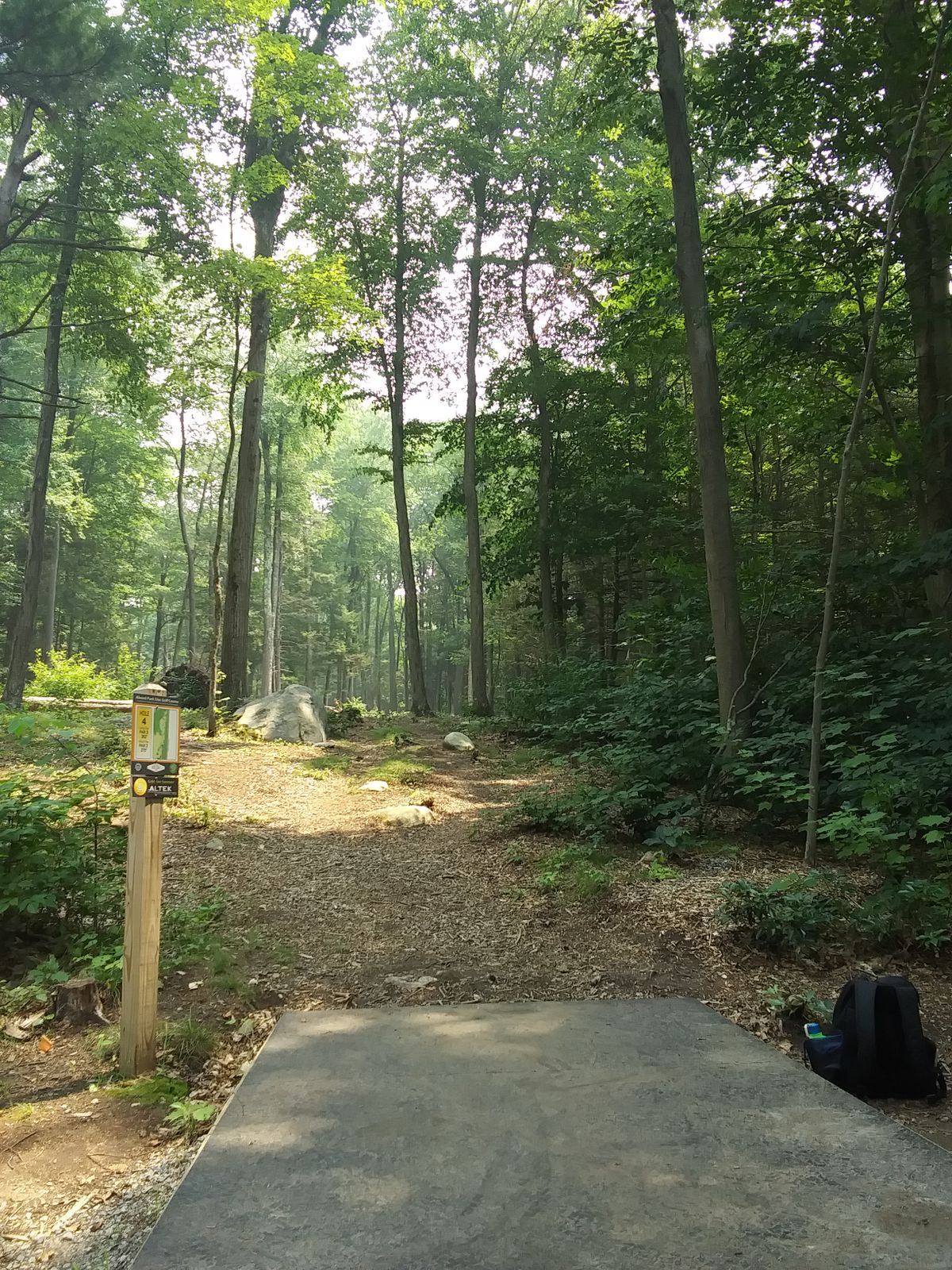 Hole 4 tee.