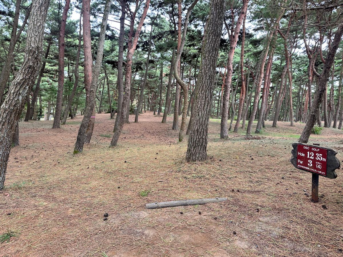 Hole 12