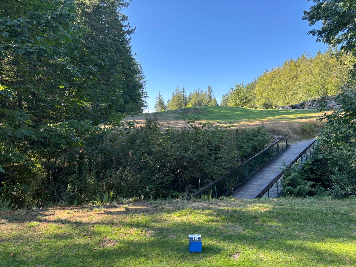 Hole 16 blue tee pad.