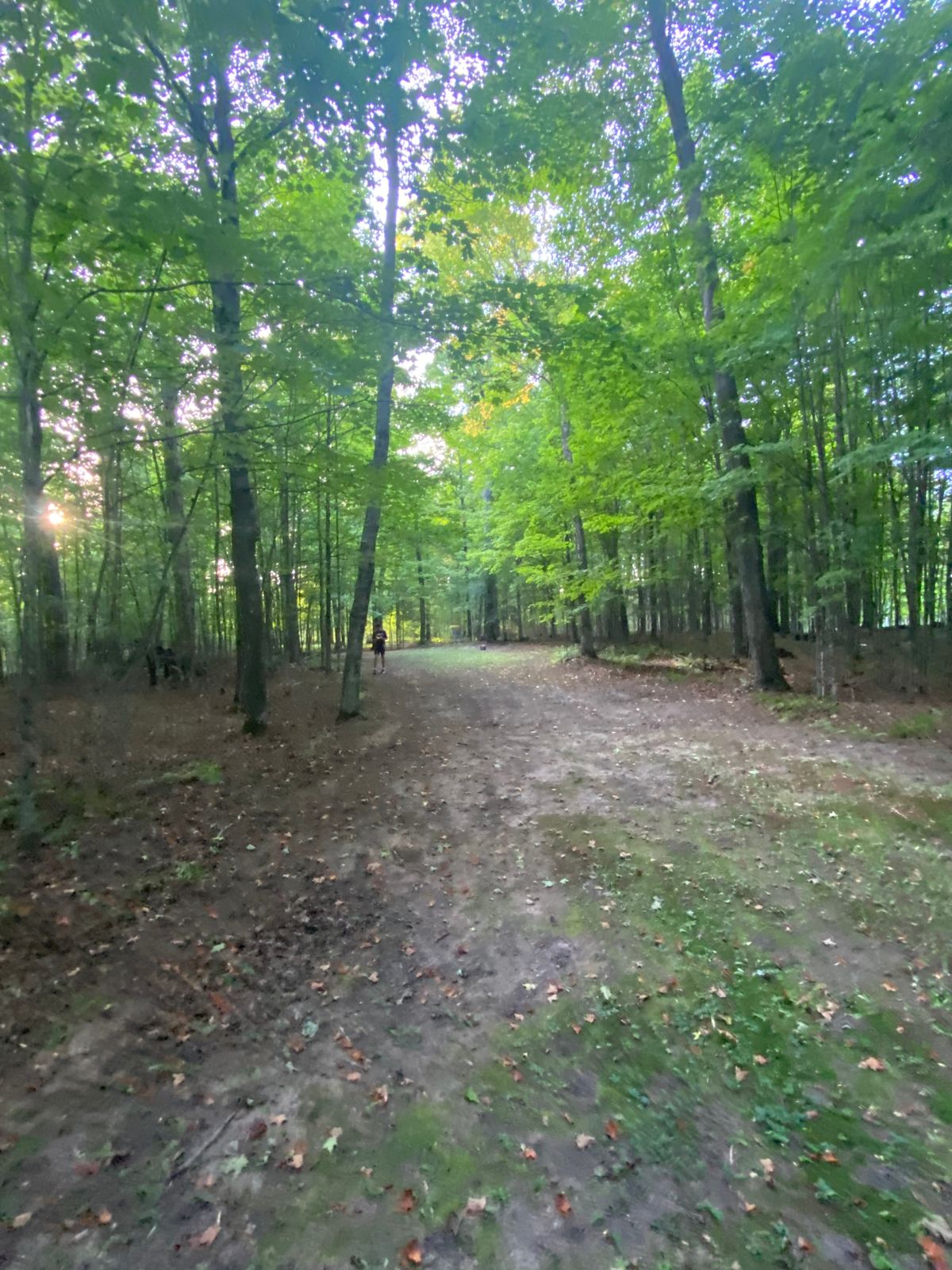 Fairway on 9