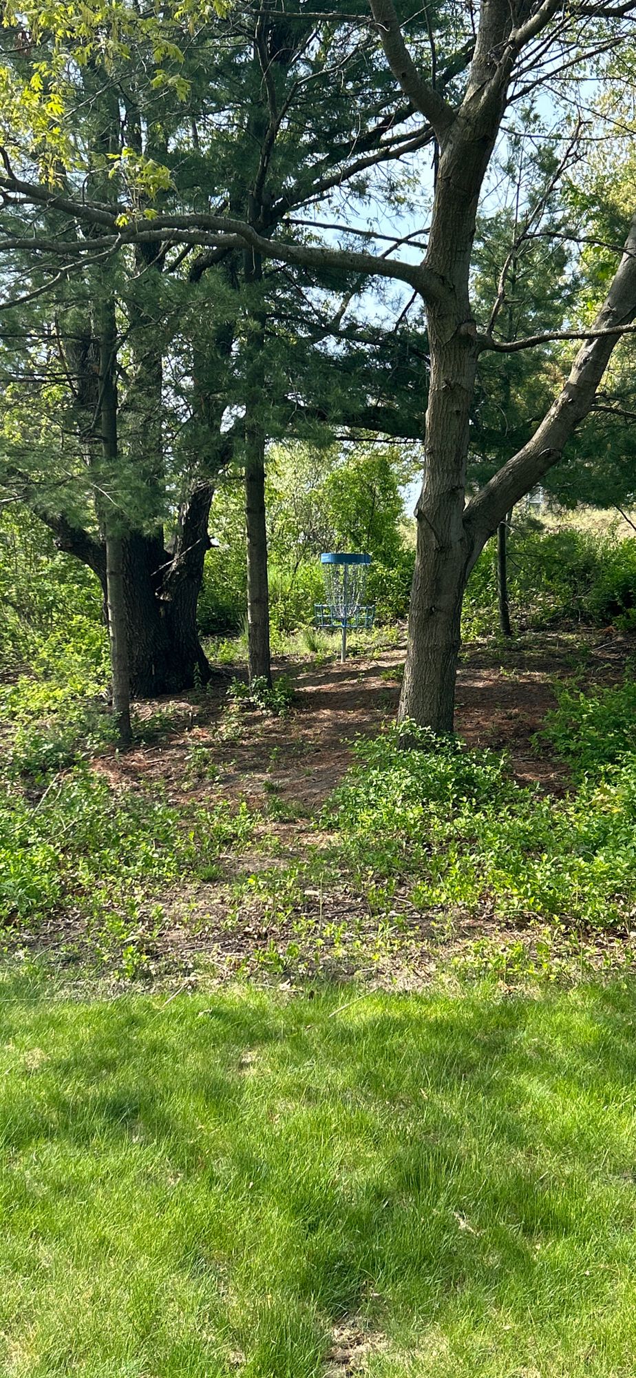 Hole#9 approach