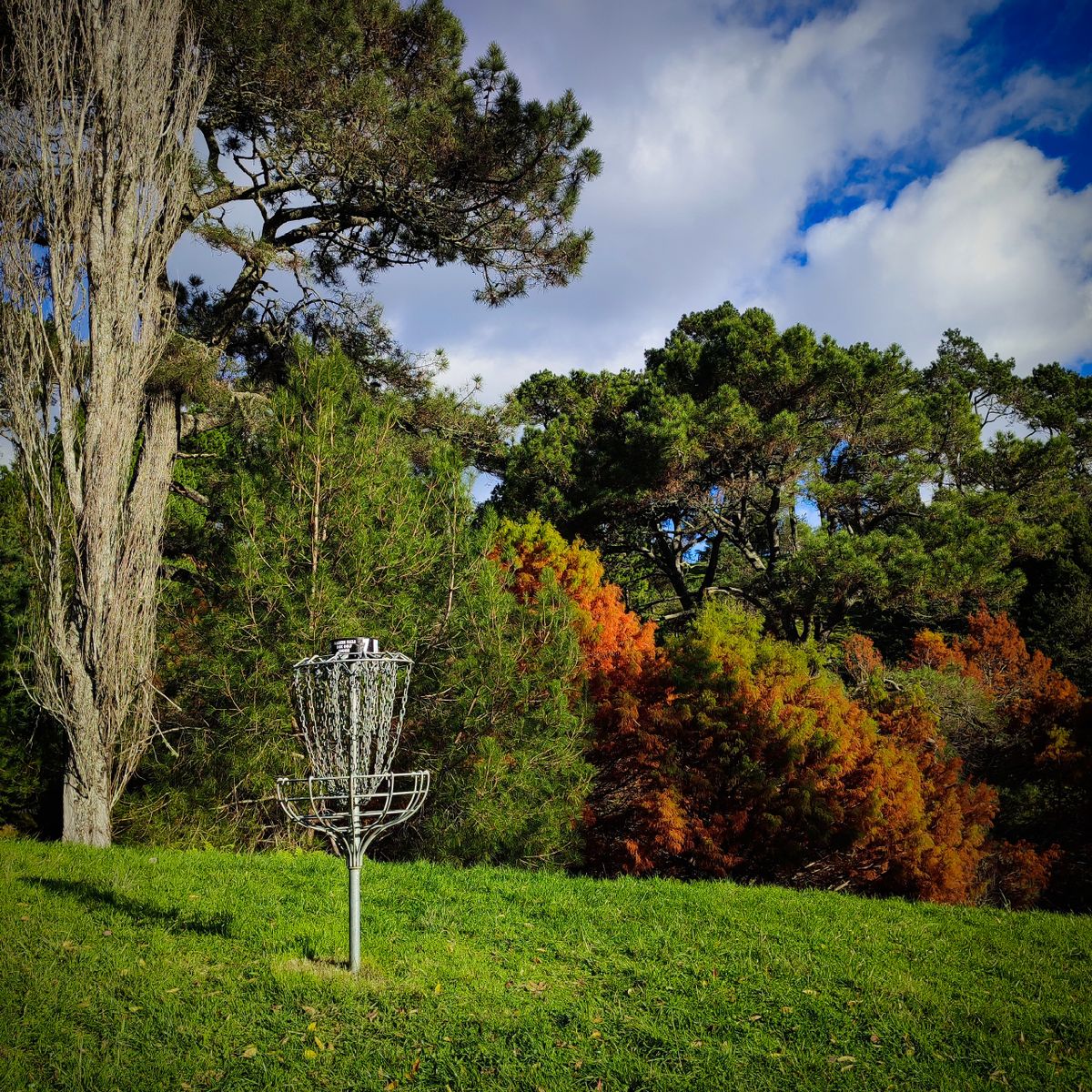 Hole seven